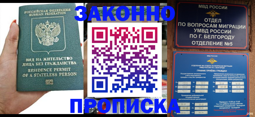 прописка для кредита в Новом Осколе